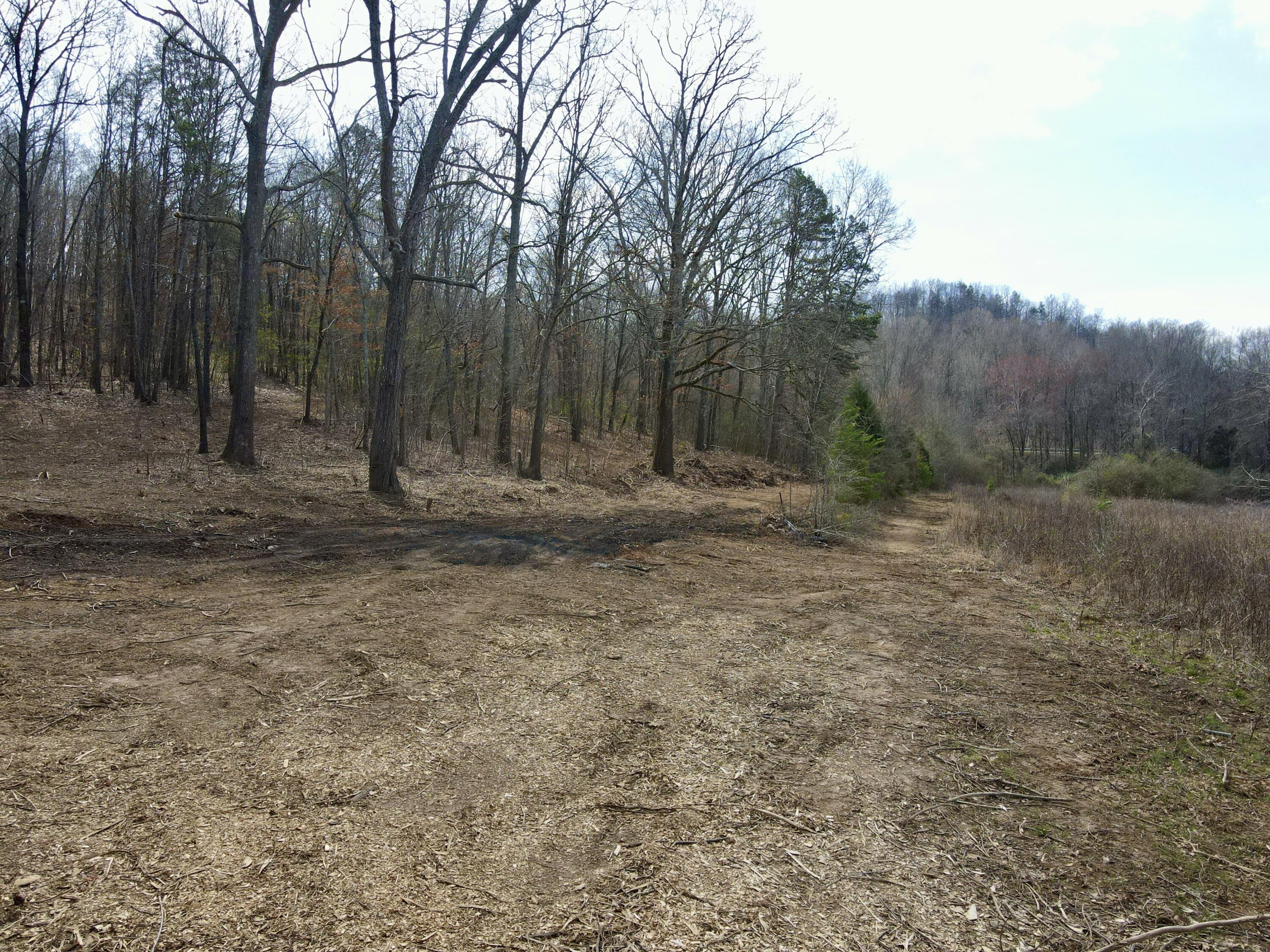 8 Acres Hass Road, Jasper, Tennessee image 31