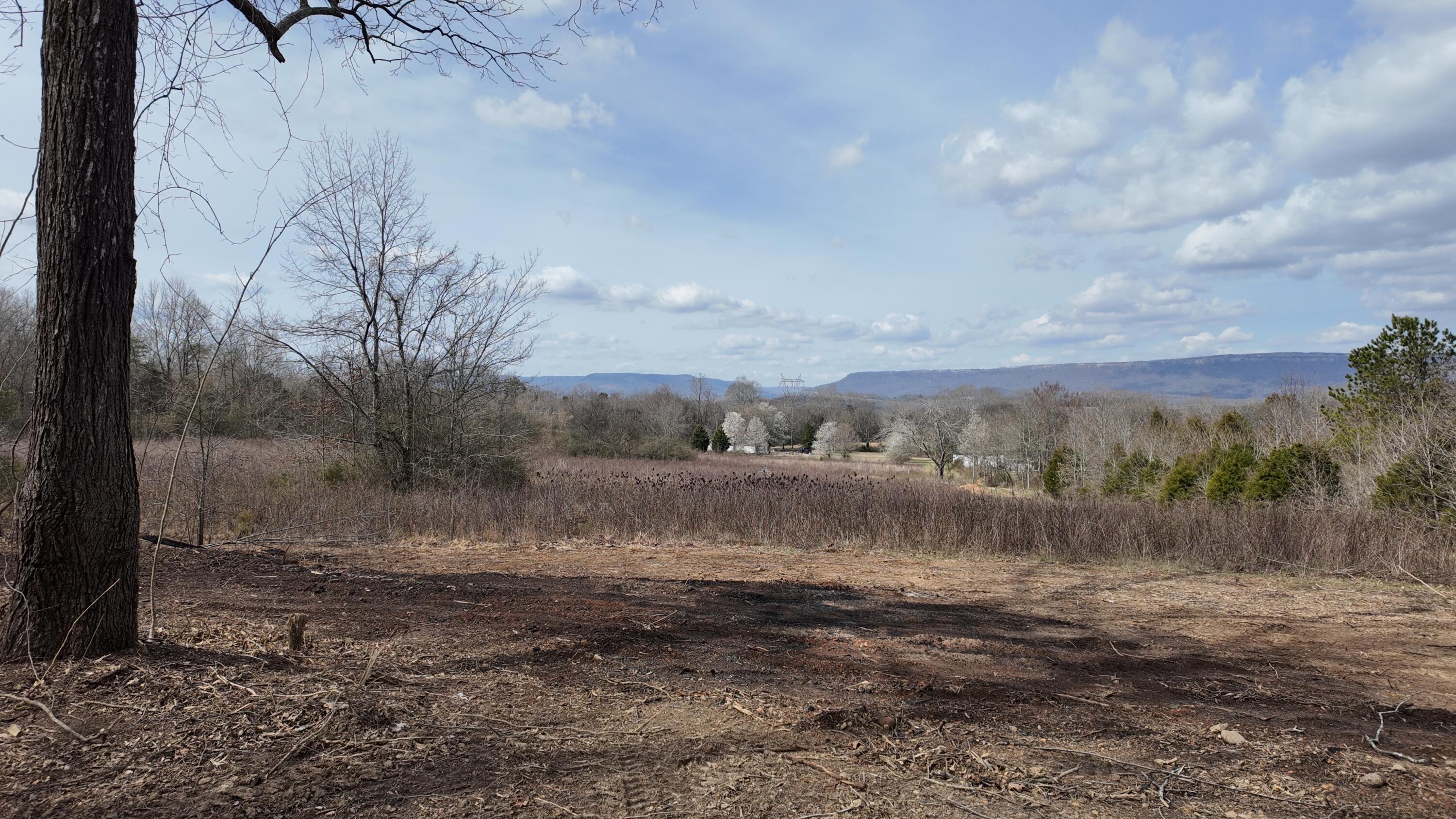 8 Acres Hass Road, Jasper, Tennessee image 7