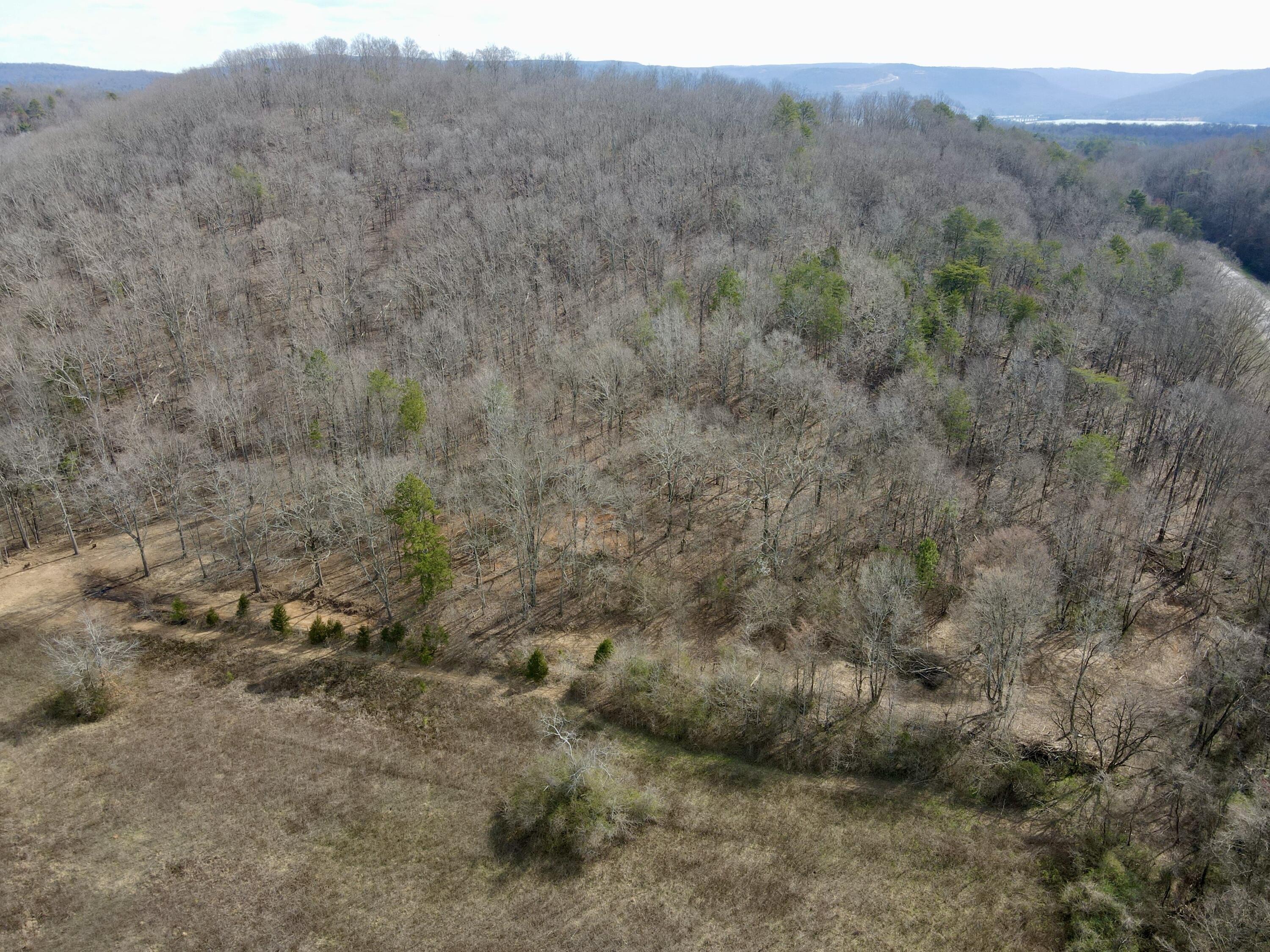 8 Acres Hass Road, Jasper, Tennessee image 21