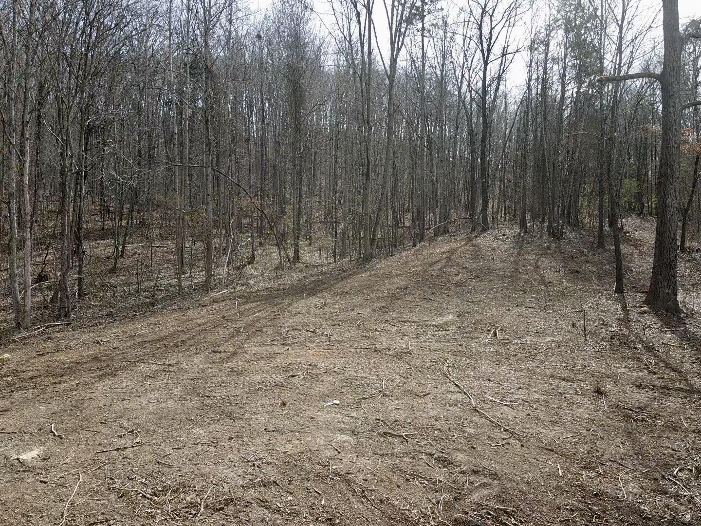 8 Acres Hass Road, Jasper, Tennessee image 10