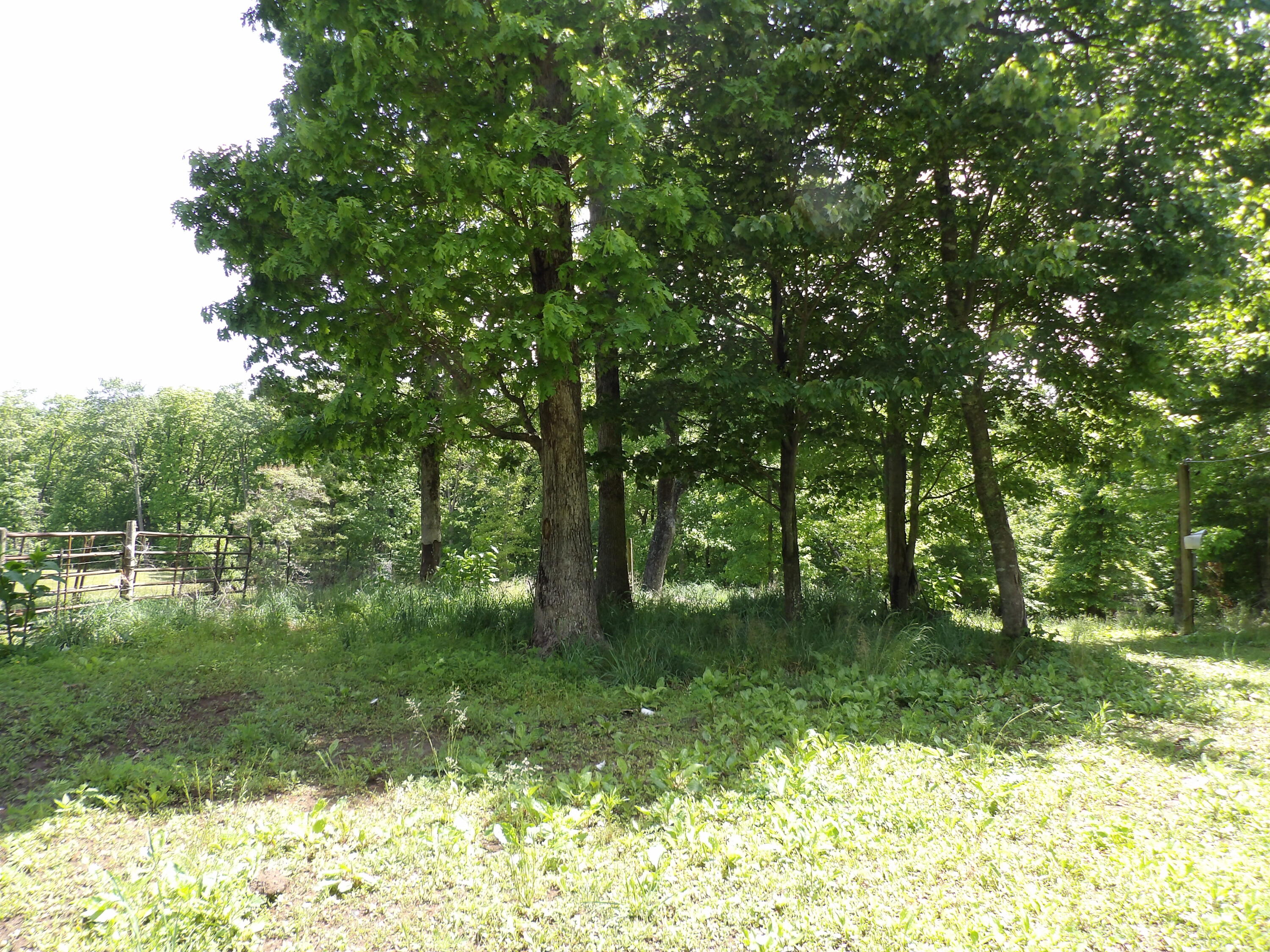00 Kerley Road