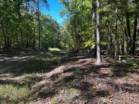 Photo of Lot 353 Diana Drive, Spring City, TN 37381 (MLS # 1501842)