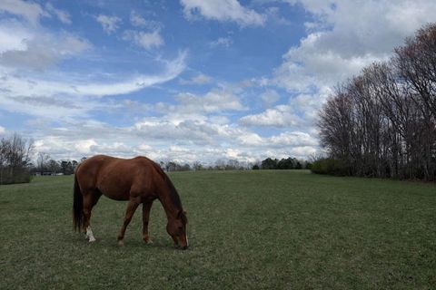 Vacant Land For Sale - Alabama Highway<br/> Flat Rock, AL 35966