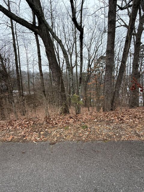 Photo of 0 Wynnwood Road, Chattanooga, TN 37412 (MLS # 1526134)