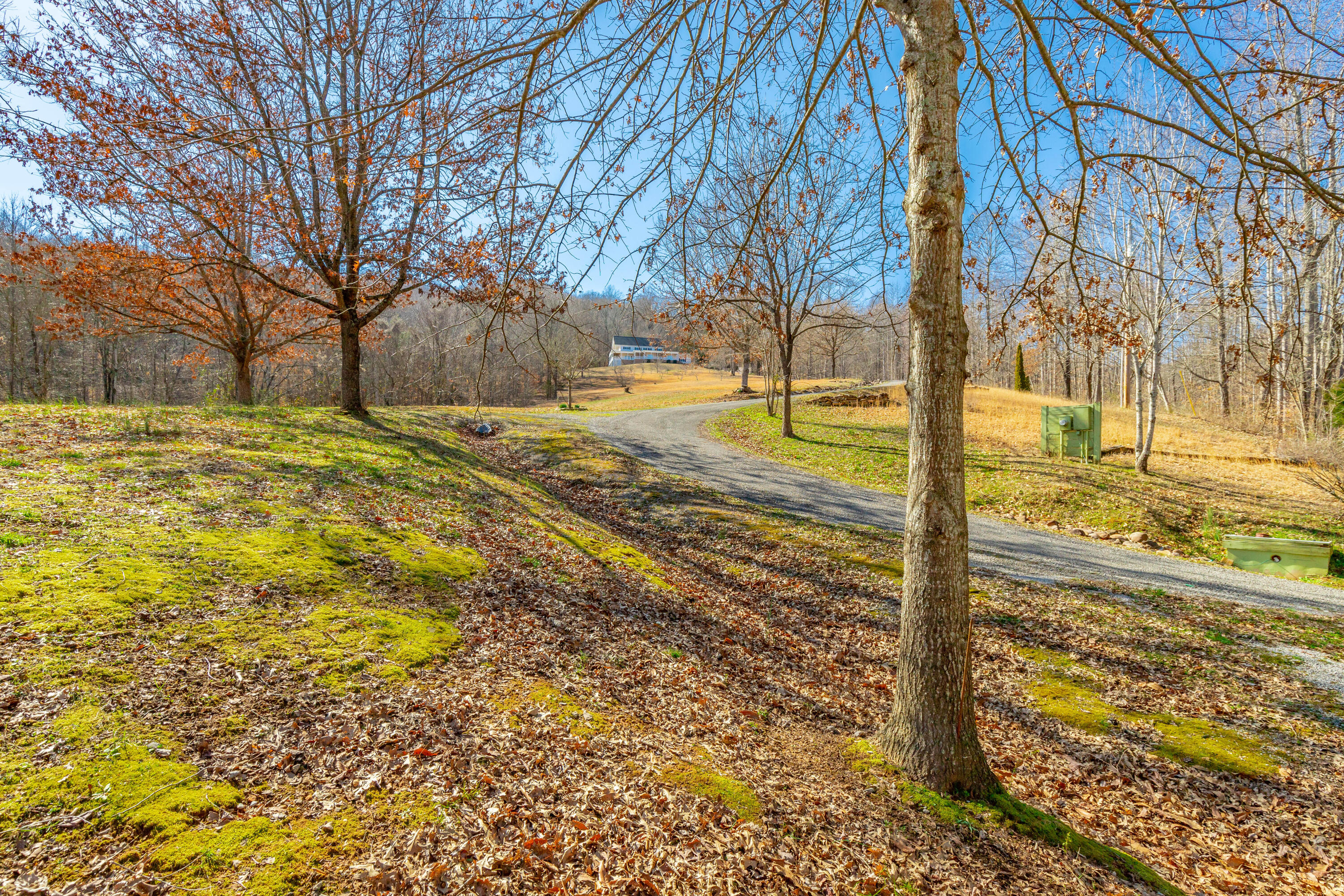 357 Waterfall Road, Sequatchie, Tennessee image 43