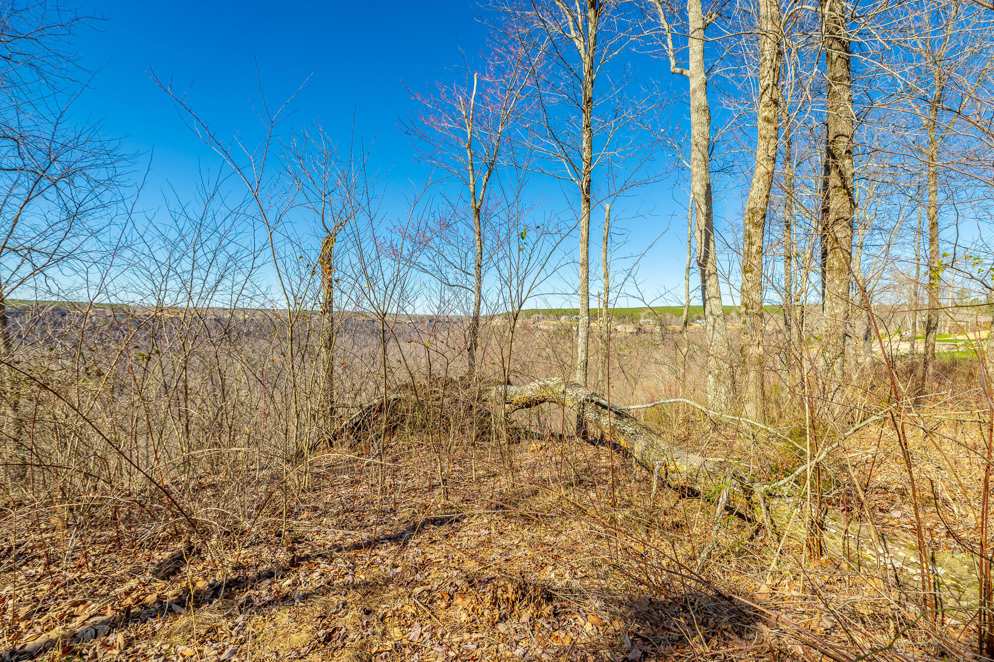 Cumberland Circle #162 AND 163, Jasper, Tennessee image 9