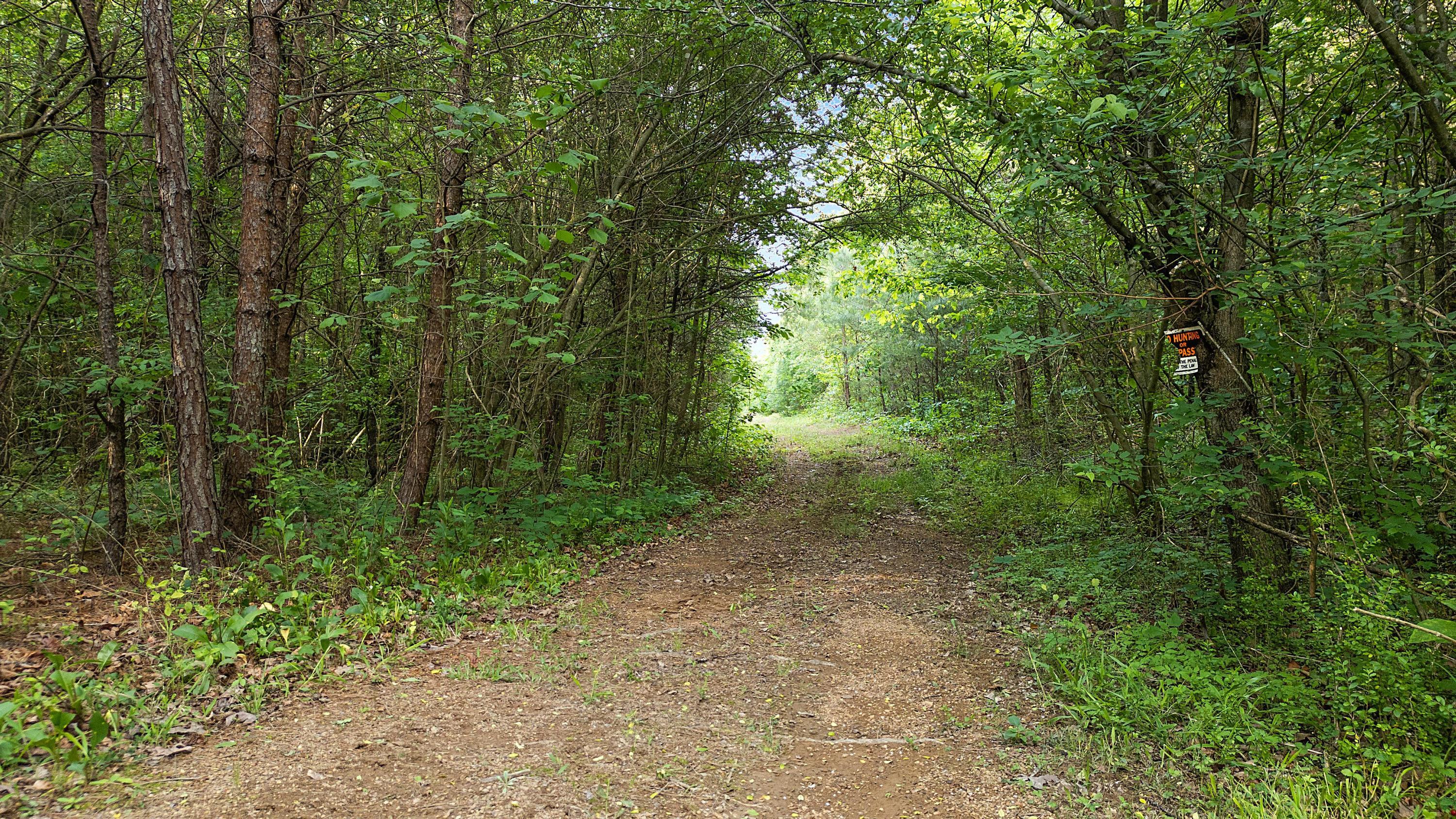1839 County Rd 750, Riceville, Tennessee image 26