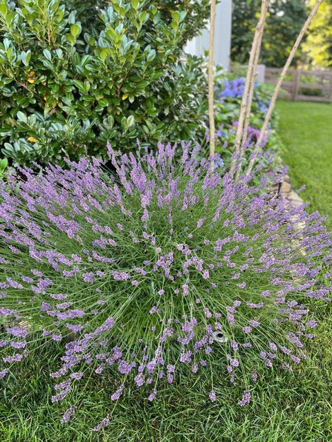 Tiny photo for 2819 Signal Farms Lane, Signal Mountain, TN 37377 (MLS # 1526733)