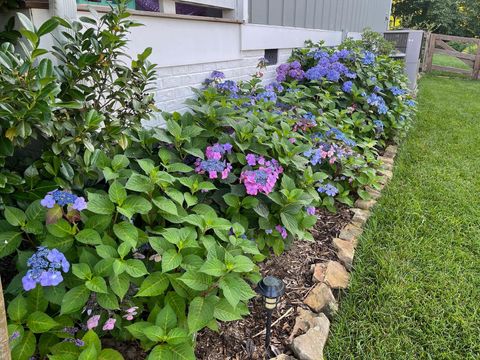 Tiny photo for 2819 Signal Farms Lane, Signal Mountain, TN 37377 (MLS # 1526733)