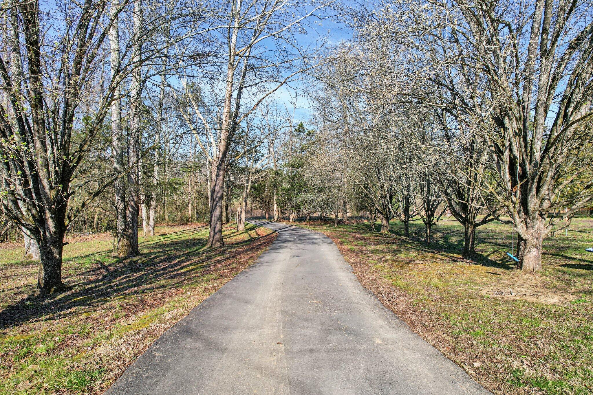 145 County Road 853, Delano, Tennessee image 43