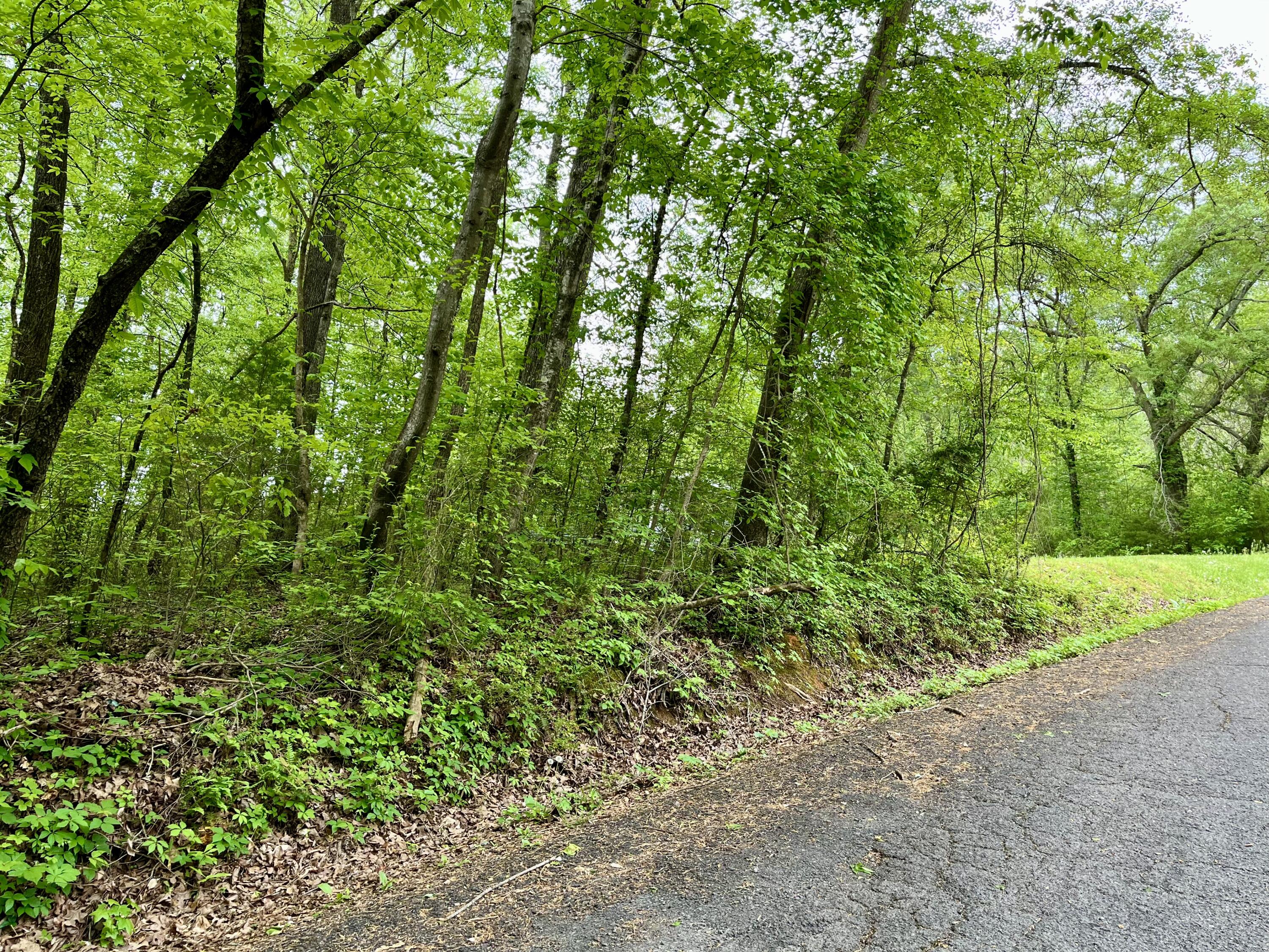 Lot 25 Omega Drive, Whitwell, Tennessee image 1