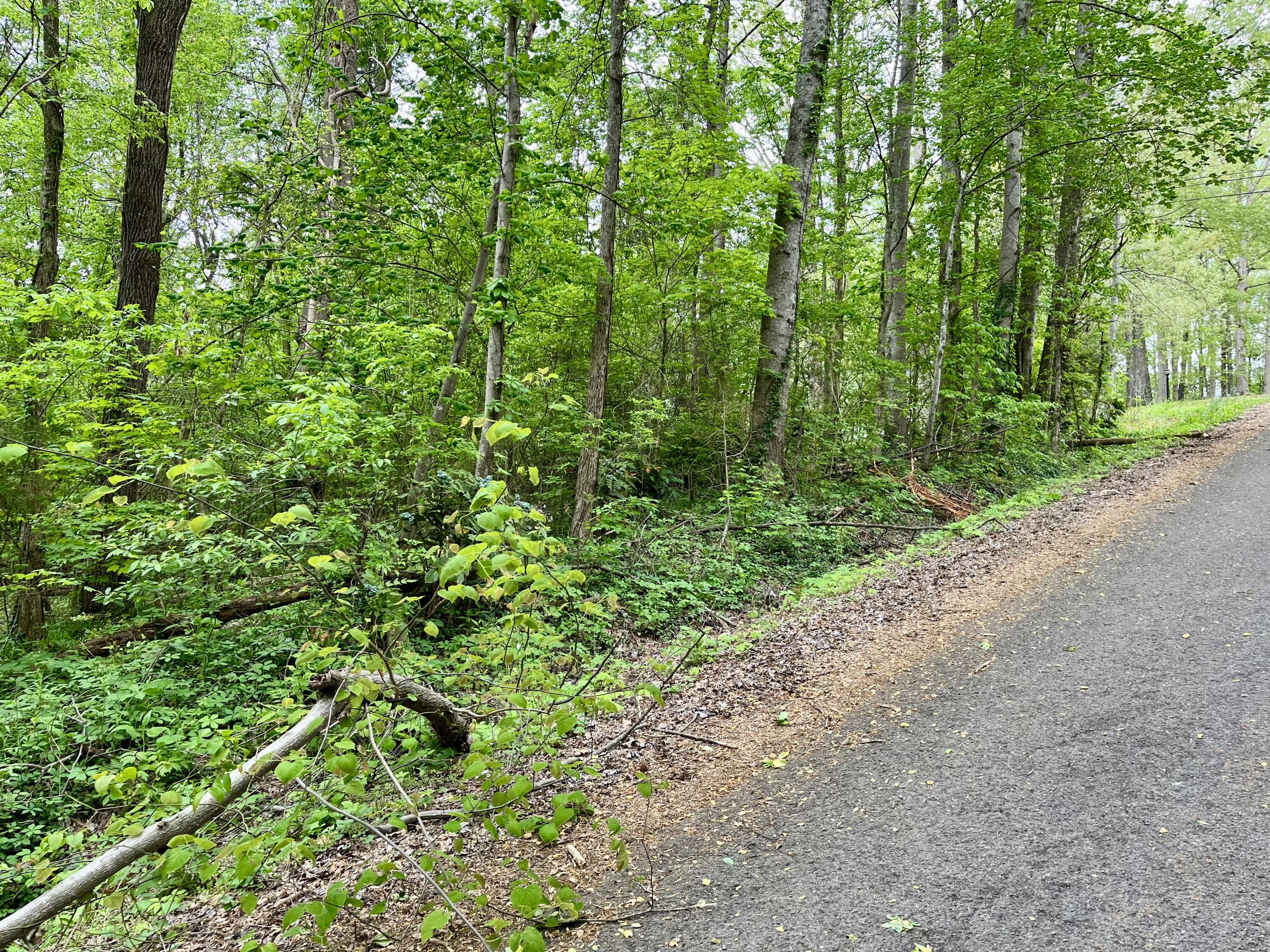 Lot 25 Omega Drive, Whitwell, Tennessee image 2