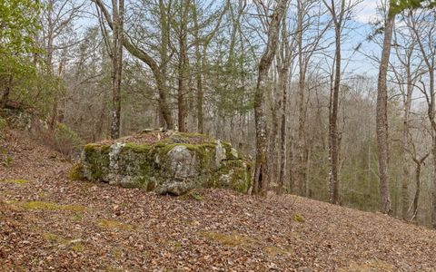 Tiny photo for 9963 Huckleberry Lane, Soddy Daisy, TN 37379 (MLS # 1527456)