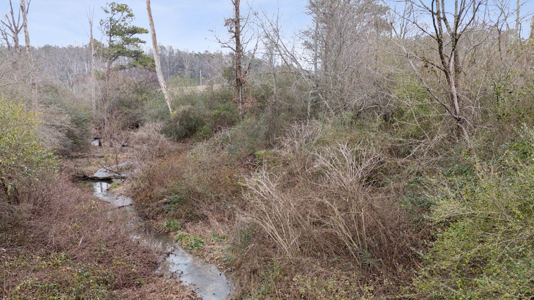 2365 County Road 19, Dutton, Alabama image 22