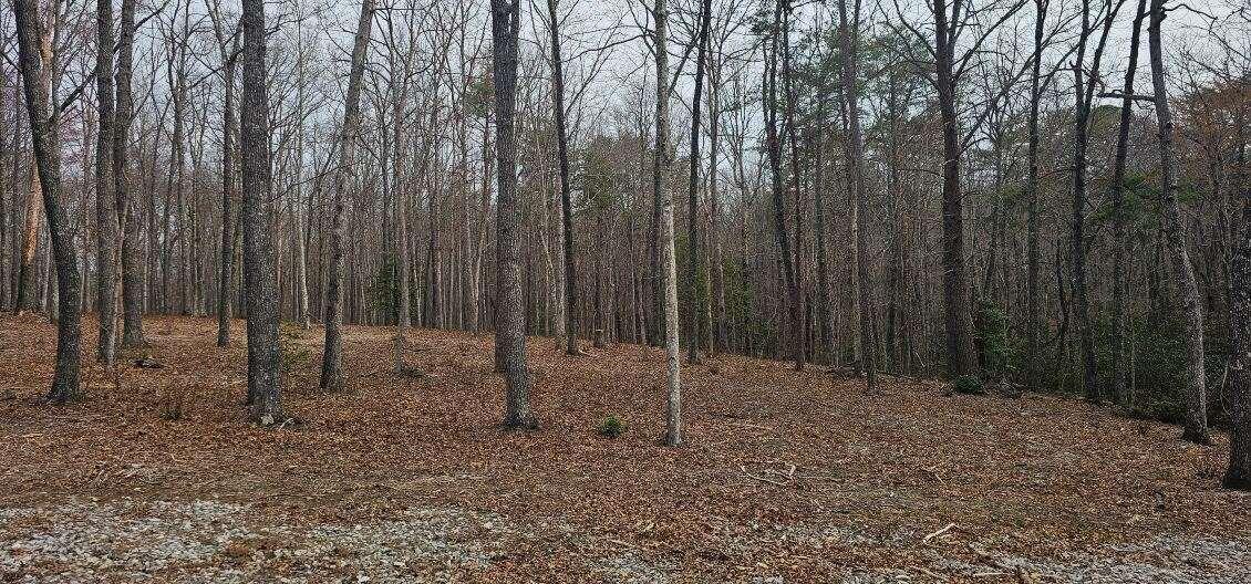 1147 Woods Rd Road, Dunlap, Tennessee image 13