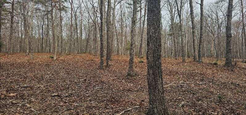 1147 Woods Rd Road, Dunlap, Tennessee image 22
