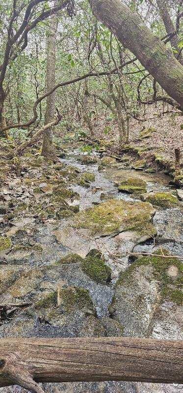 1147 Woods Rd Road, Dunlap, Tennessee image 16