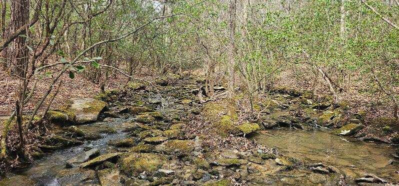 1147 Woods Rd Road, Dunlap, Tennessee image 25