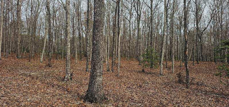 1147 Woods Rd Road, Dunlap, Tennessee image 26