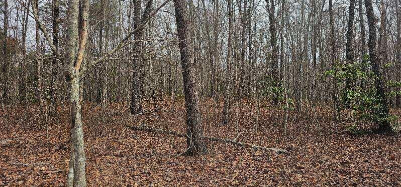 1147 Woods Rd Road, Dunlap, Tennessee image 36