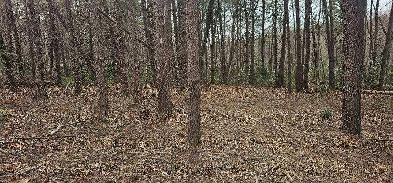 1147 Woods Rd Road, Dunlap, Tennessee image 24