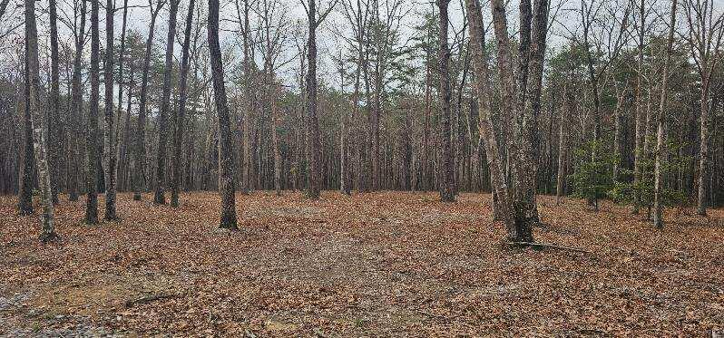 1147 Woods Rd Road, Dunlap, Tennessee image 1