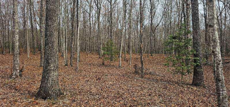1147 Woods Rd Road, Dunlap, Tennessee image 28