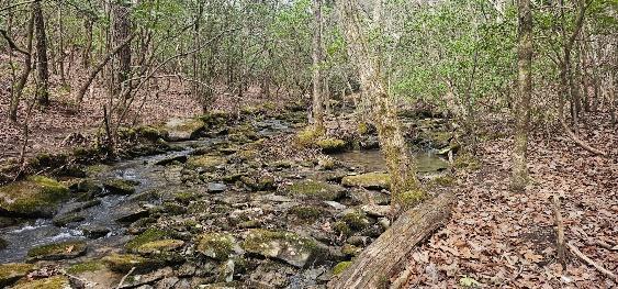 1147 Woods Rd Road, Dunlap, Tennessee image 7