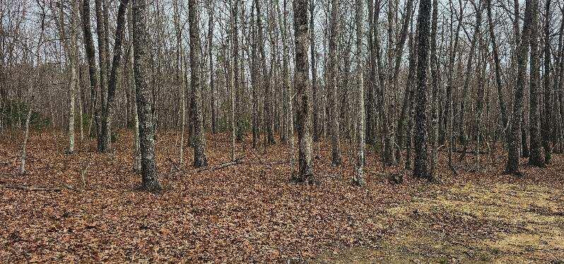 1147 Woods Rd Road, Dunlap, Tennessee image 23