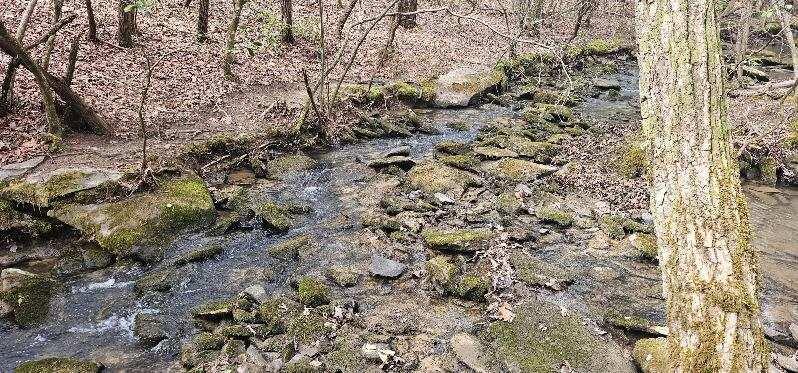 1147 Woods Rd Road, Dunlap, Tennessee image 2