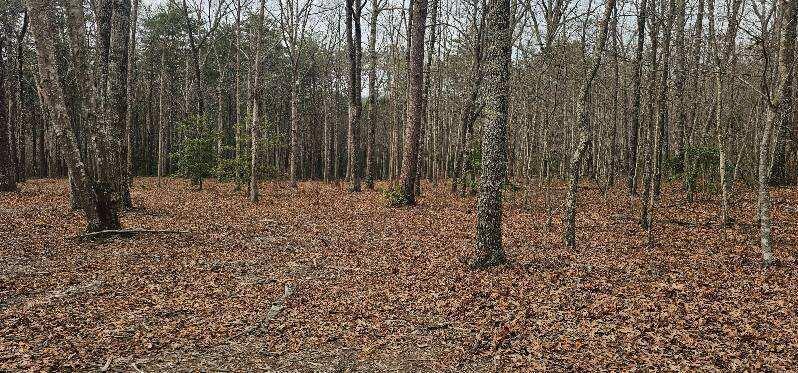 1147 Woods Rd Road, Dunlap, Tennessee image 3