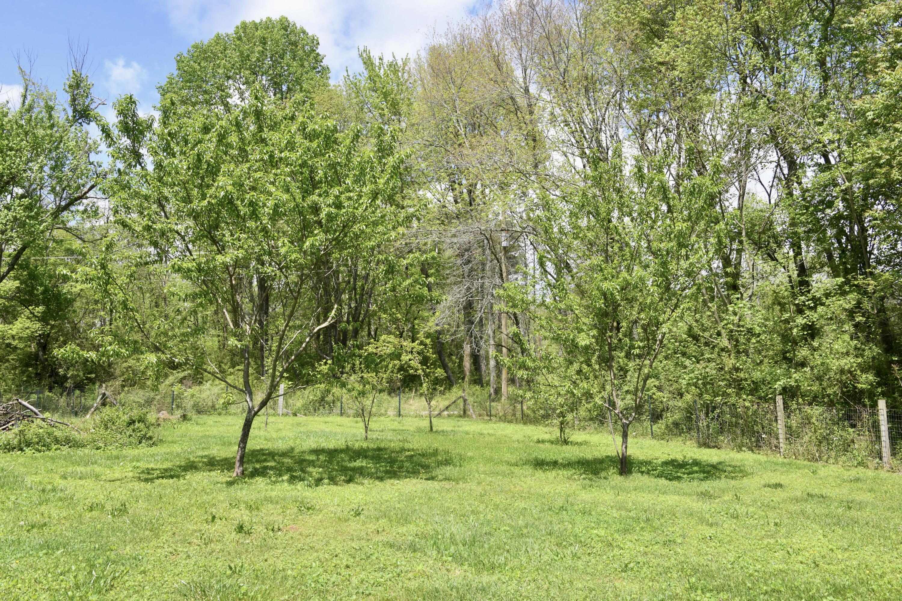 220 Lovelady Lane, Dayton, Tennessee image 30