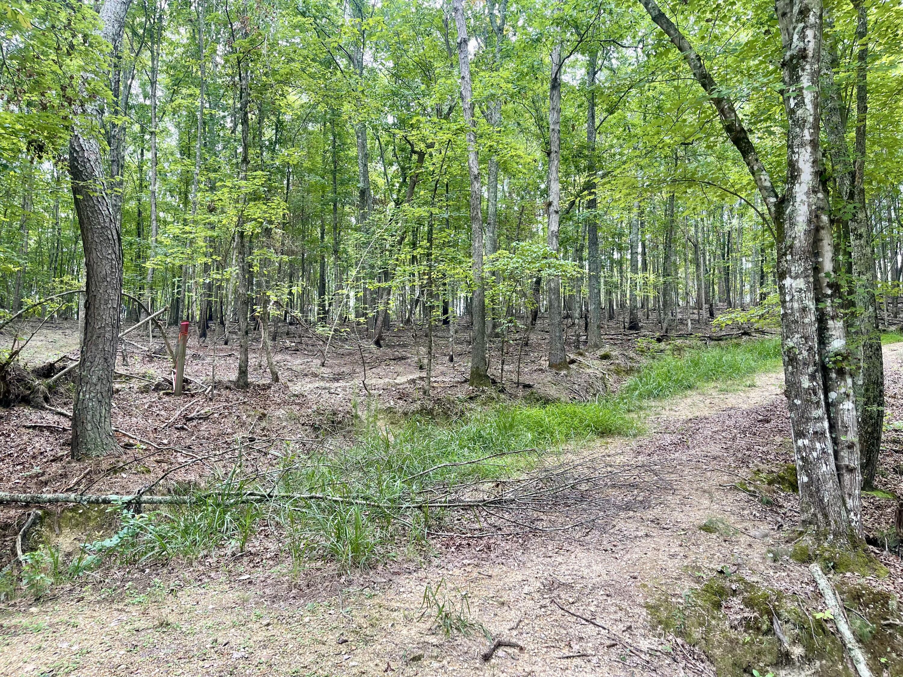 White Oak Rd Lot 5, Summerville, Georgia image 5
