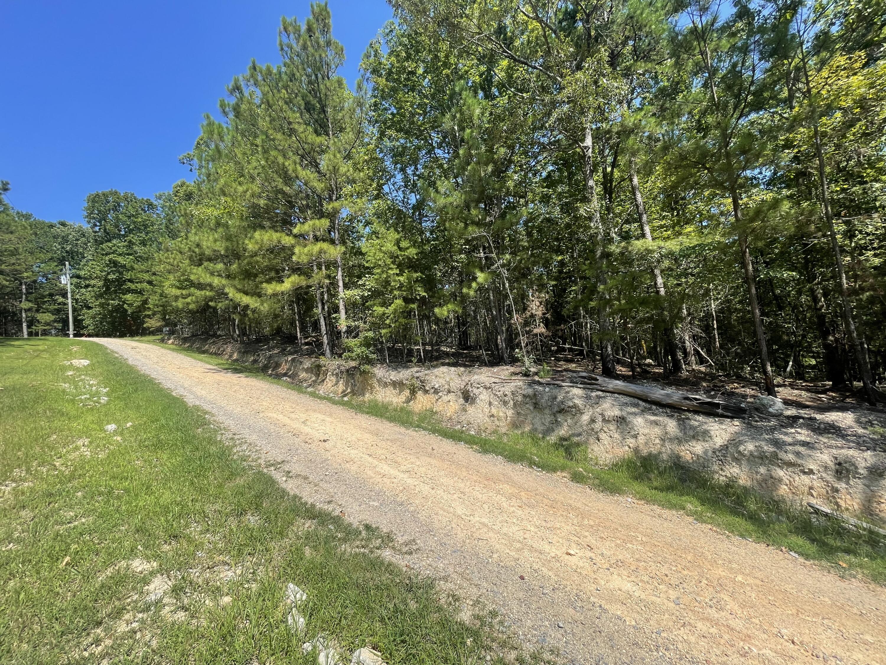 White Oak Rd Lot 5, Summerville, Georgia image 2