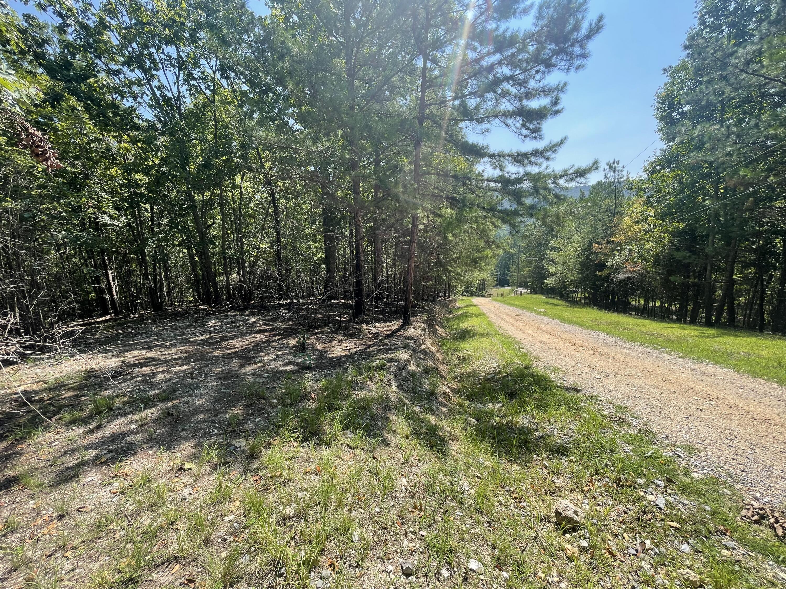White Oak Rd Lot 5, Summerville, Georgia image 3