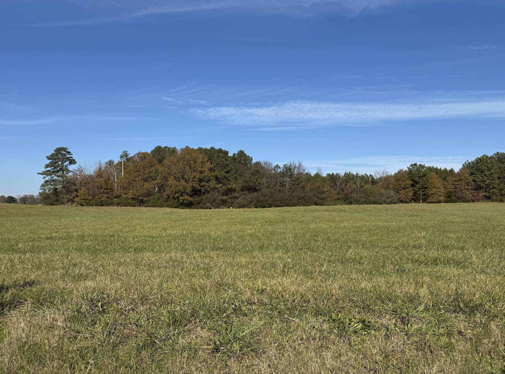 Lot 15 Tucker School Road, Cohutta, Georgia image 2