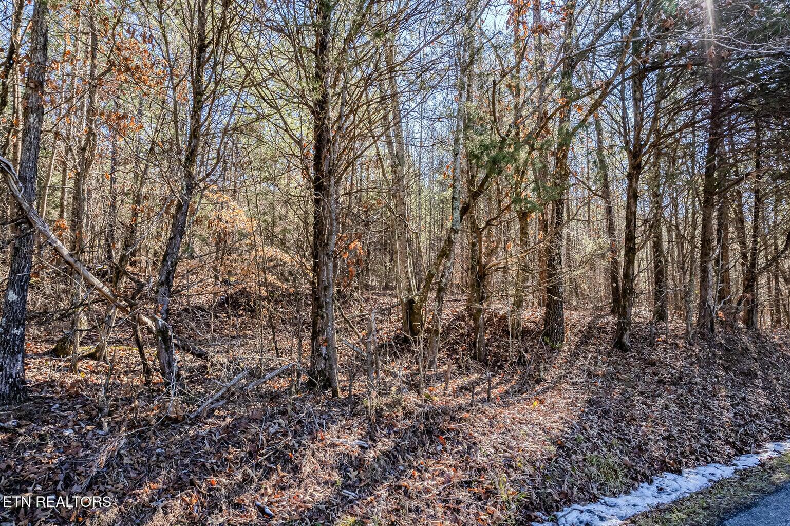 5 Acres S Nopone Valley Road, Decatur, Tennessee image 4