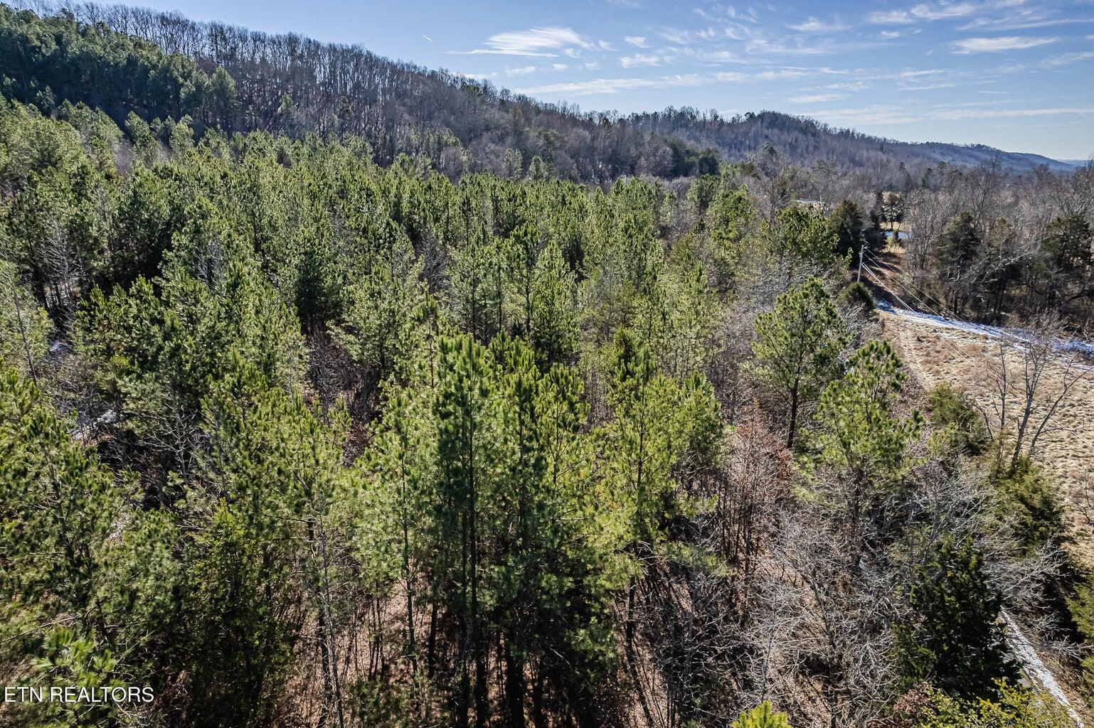 5 Acres S Nopone Valley Road, Decatur, Tennessee image 6