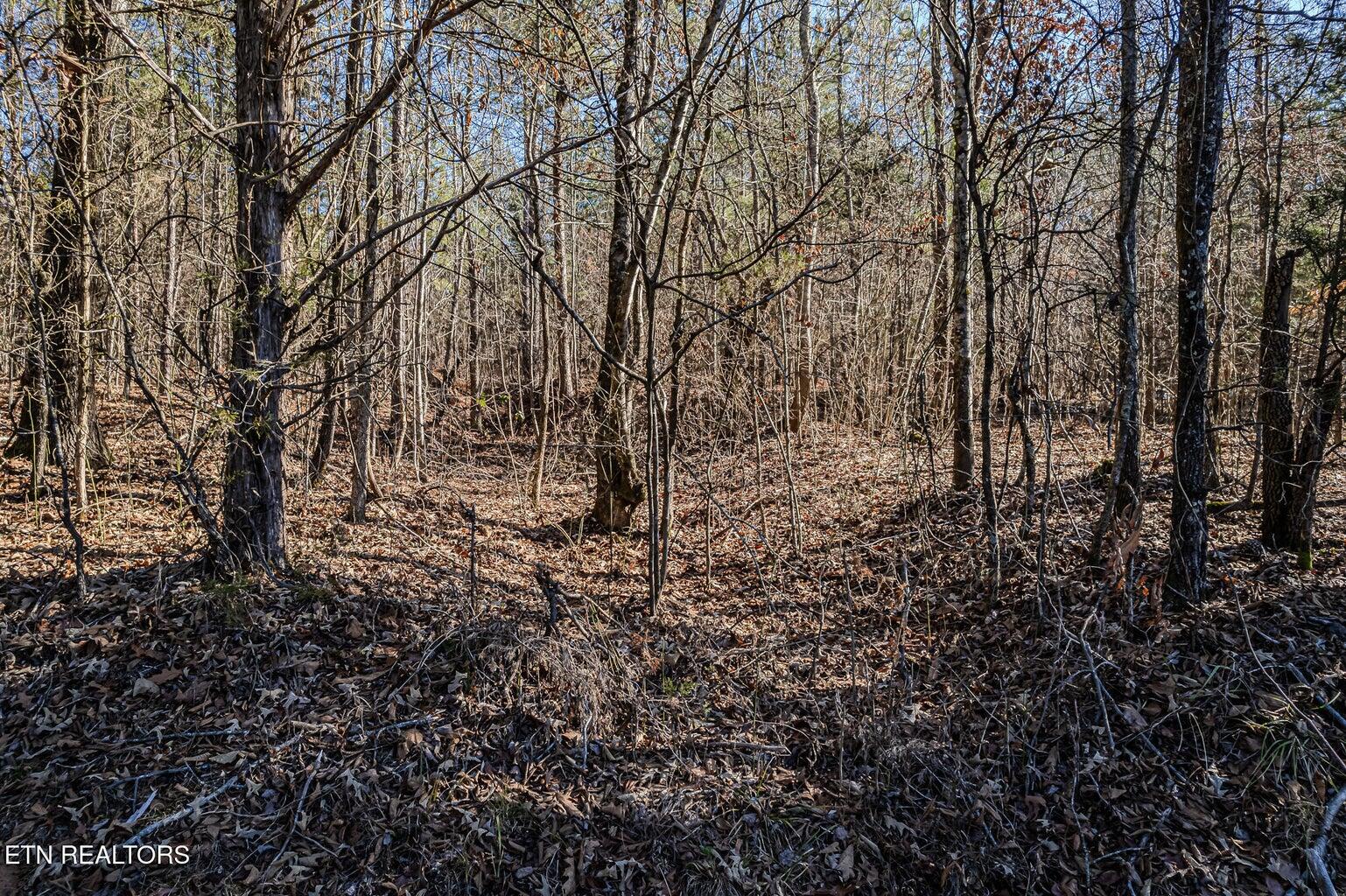 5 Acres S Nopone Valley Road, Decatur, Tennessee image 5