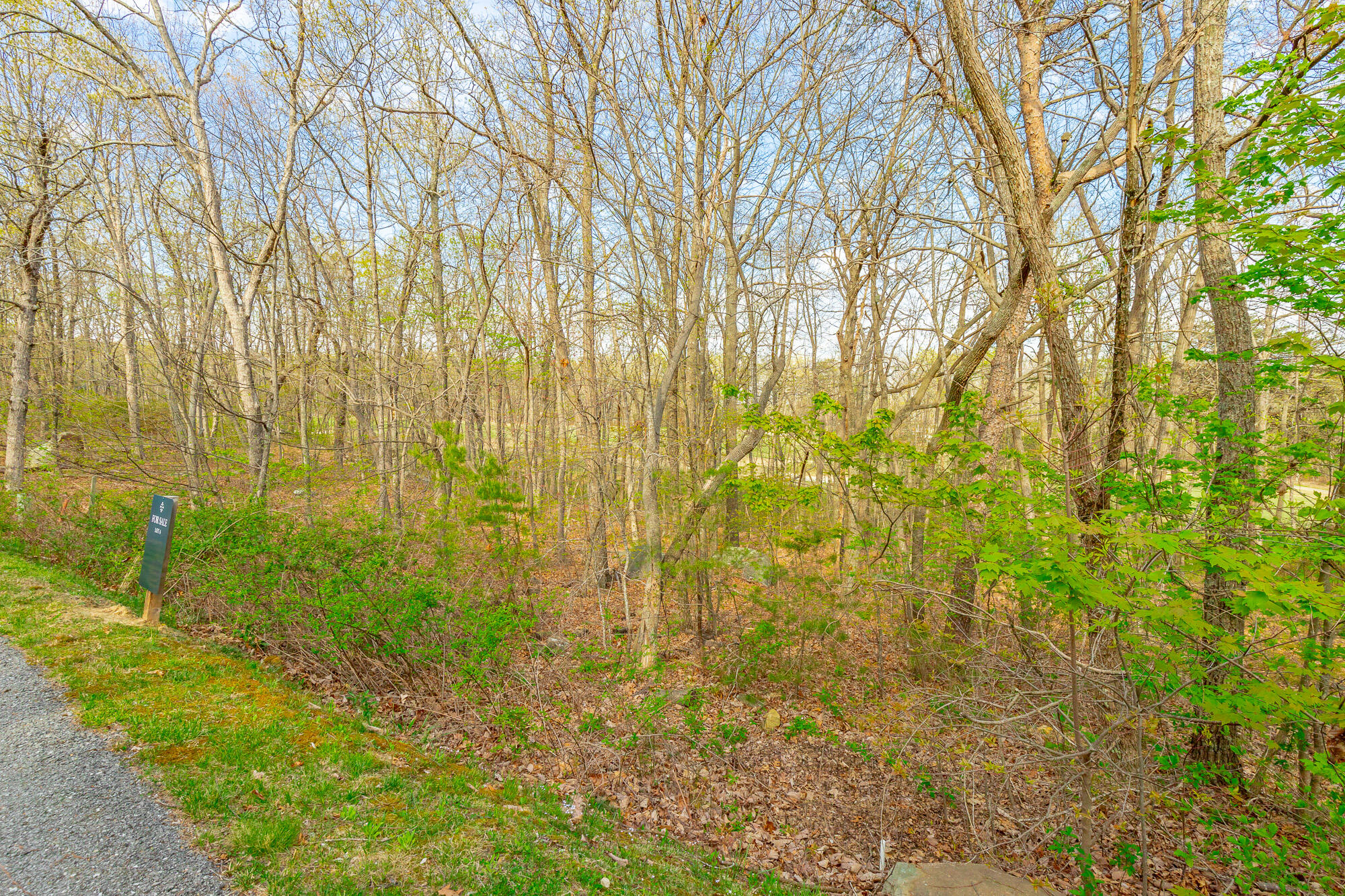 Old Rocky Trail #6, Rising Fawn, Georgia image 7