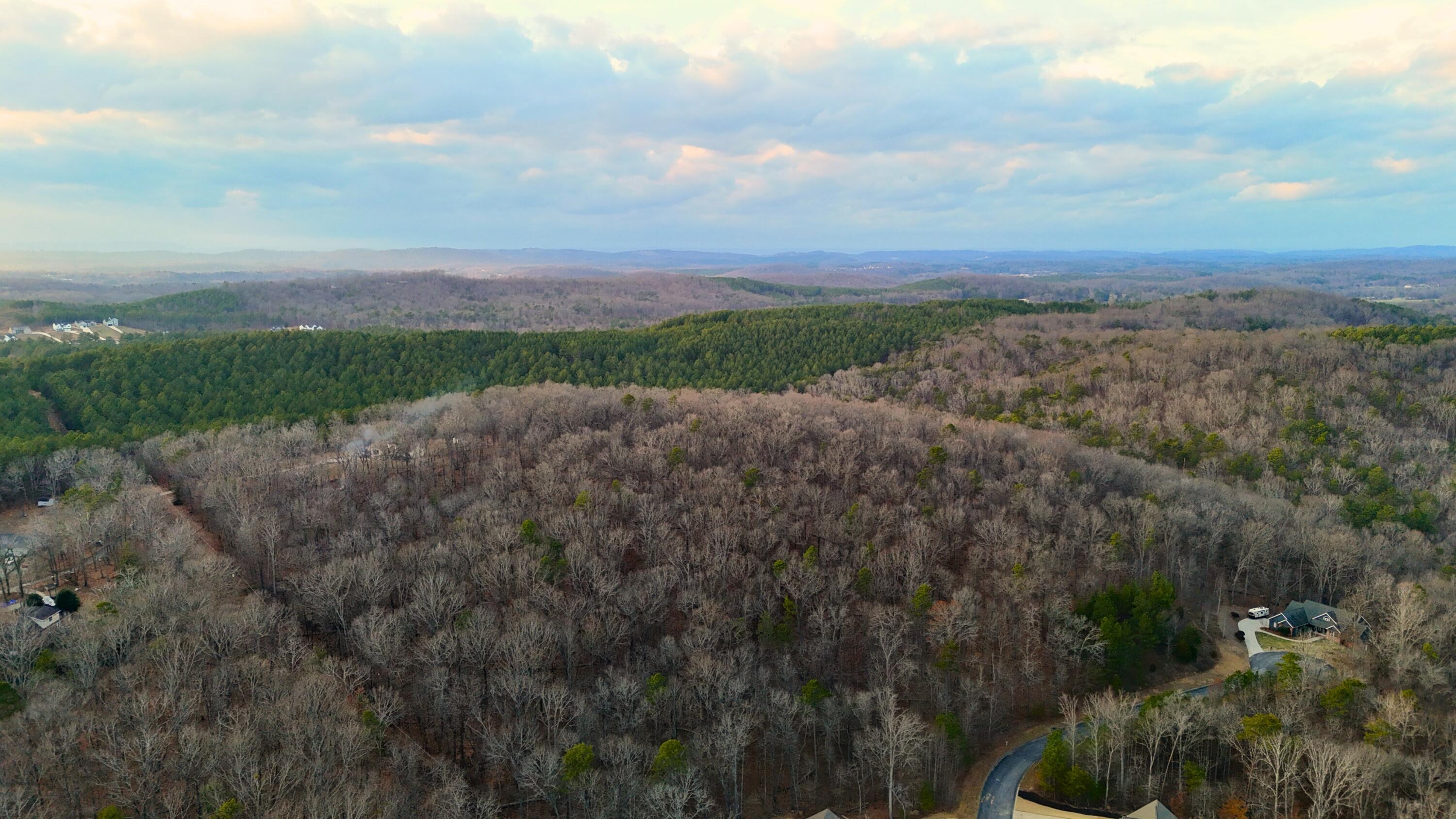Highway 2 #B, Cohutta, Georgia image 12
