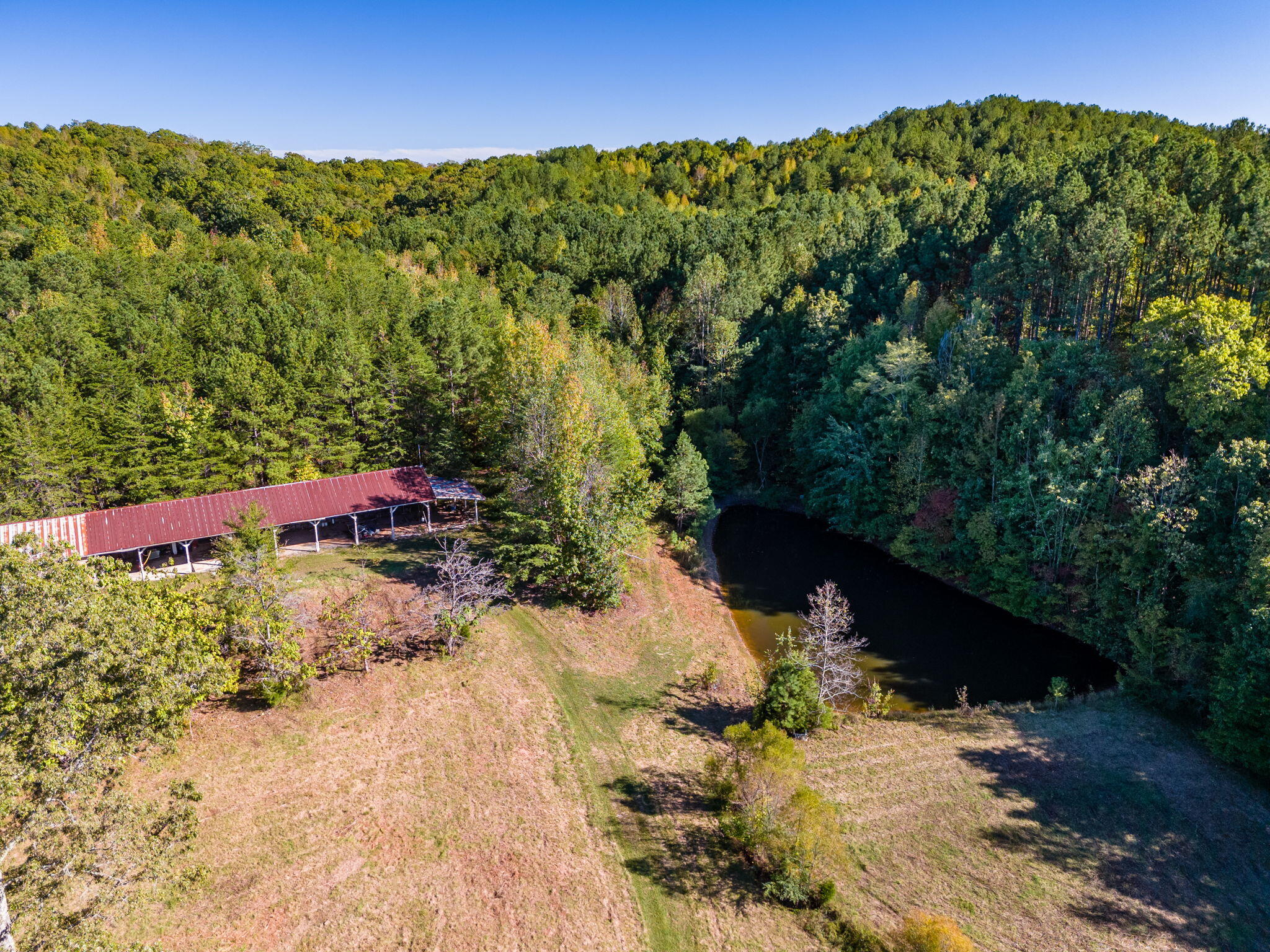 3501 N Hunter Bend Road, Decatur, Tennessee image 9