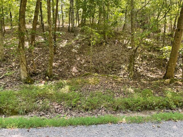 Lot 255 Maple Drive, Spring City, Tennessee image 5