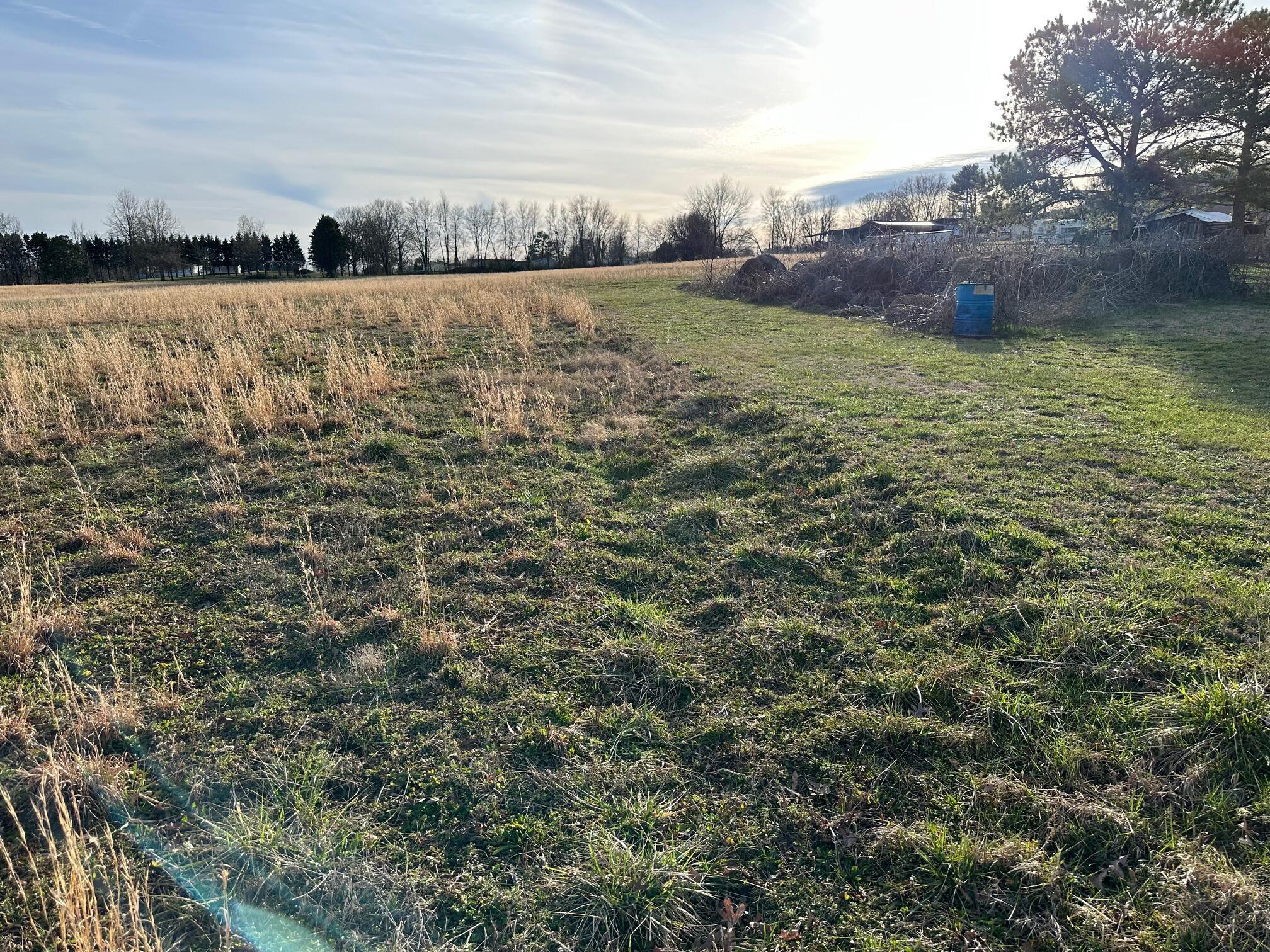 Hensley Wilson Lane, Evensville, Tennessee image 7