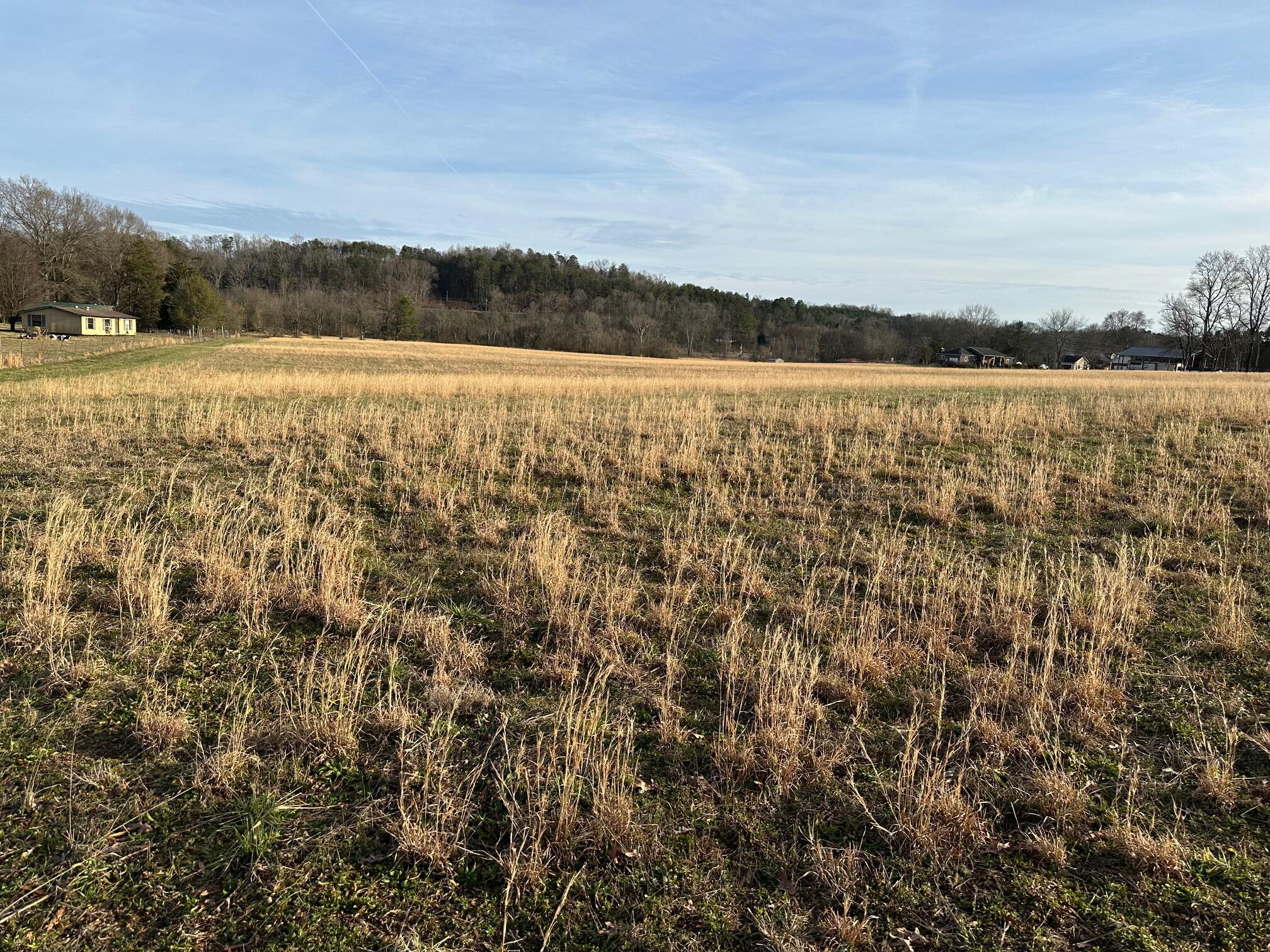 Hensley Wilson Lane, Evensville, Tennessee image 5