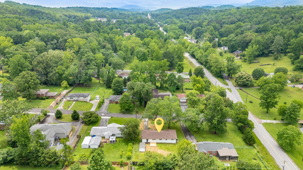 3 Abelia Lane, Chattanooga, Tennessee image 12
