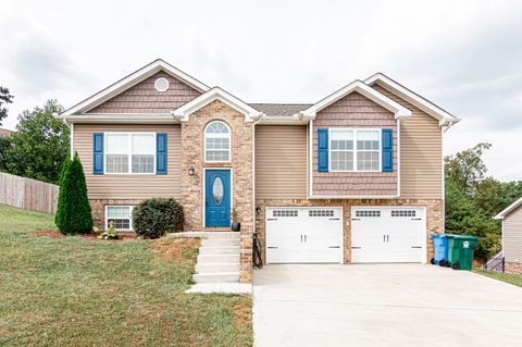Photo of 459 Titanium Drive, Hixson, TN 37343 (MLS # 1533460)