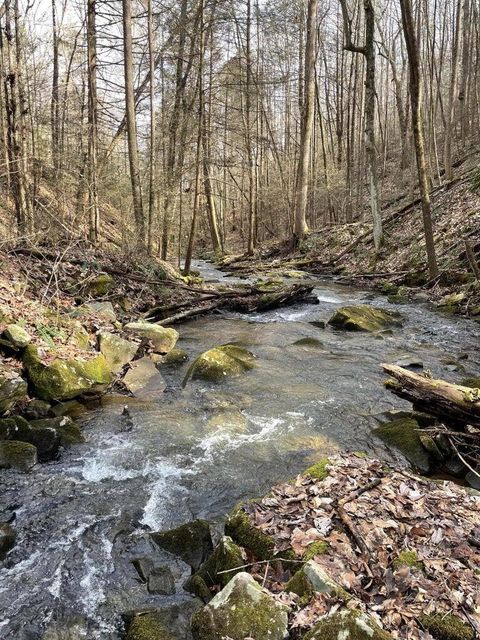 Tiny photo for 2362 Little Bend Road, Signal Mountain, TN 37377 (MLS # 1396207)
