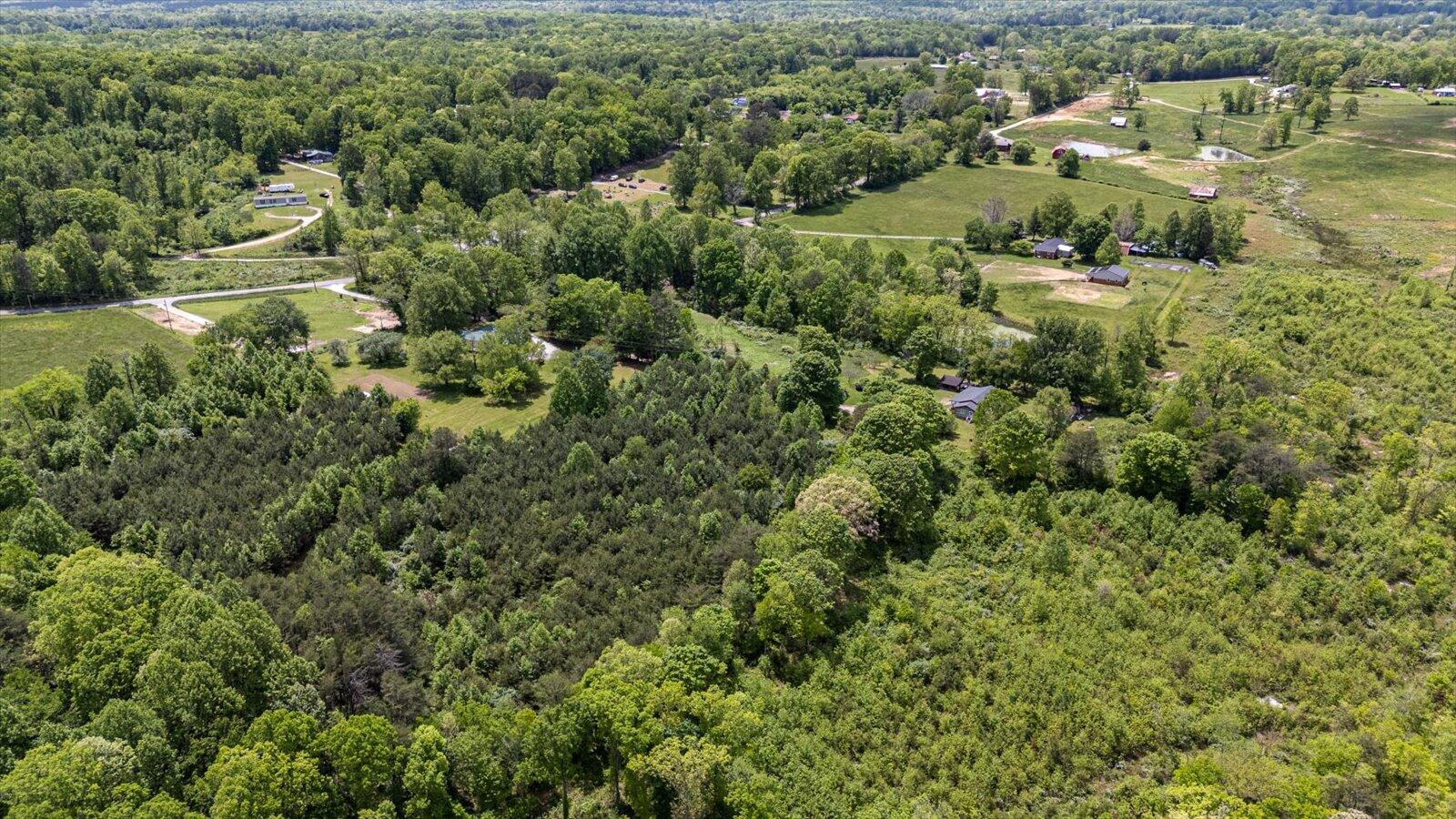 241 Bryant Lane, Tracy City, Tennessee image 36