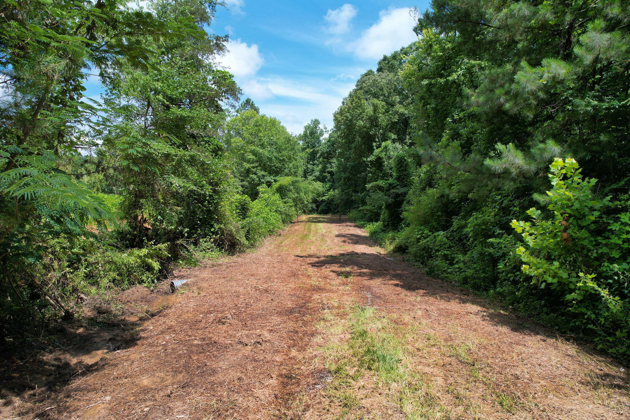 SE Bohannons Road, Cleveland, Tennessee image 2